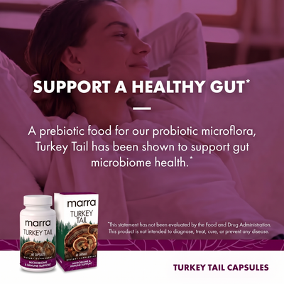 Marra Turkey Tail Capsules