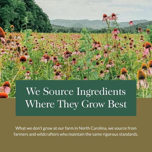 Berberine & Milk Thistle Capsules