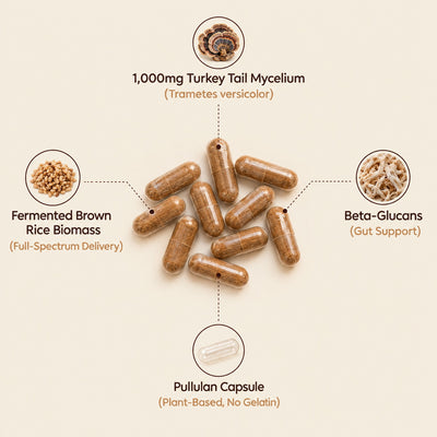 Marra Gut Relief Turkey Tail Mycelium (1,000mg)