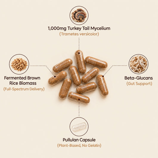 Marra Gut Relief Turkey Tail Mycelium (1,000mg)