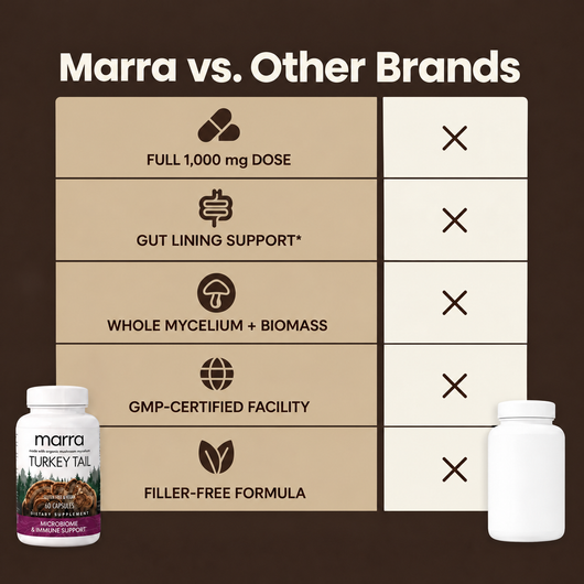 Marra Gut Relief Turkey Tail Mycelium (1,000mg)