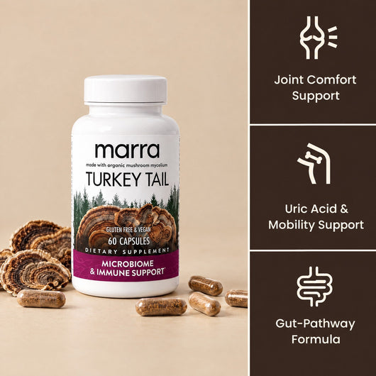 Move More Comfortably with Turkey Tail Mycelium (1,000mg)