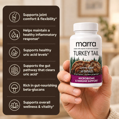 Move More Comfortably with Turkey Tail Mycelium (1,000mg)