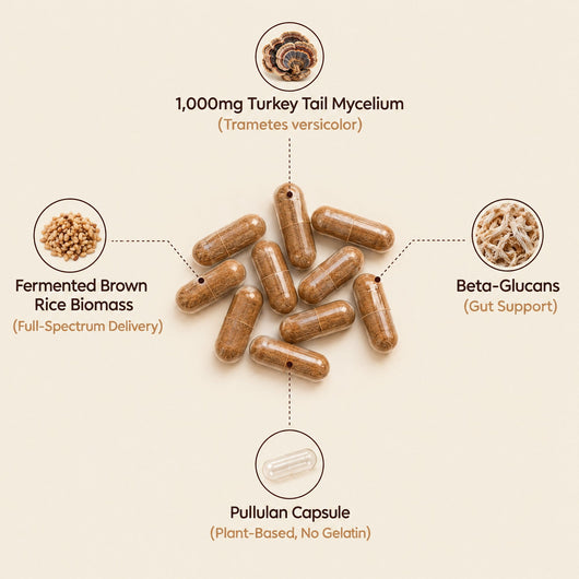Move More Comfortably with Turkey Tail Mycelium (1,000mg)