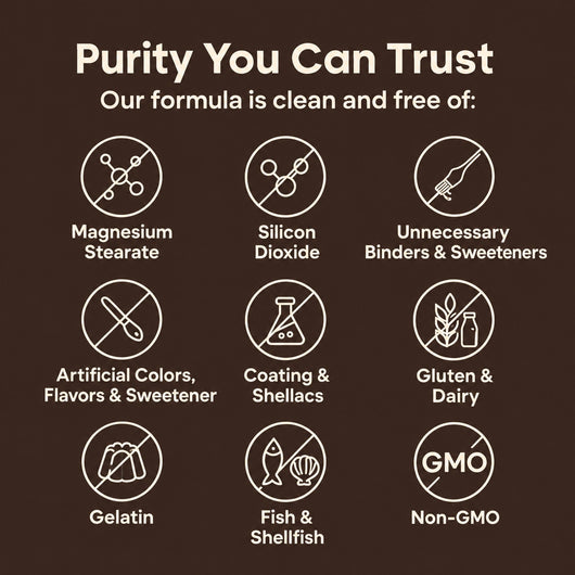 Move More Comfortably with Turkey Tail Mycelium (1,000mg)